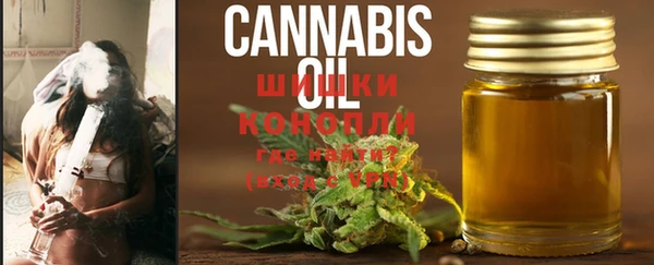 гидра Богданович