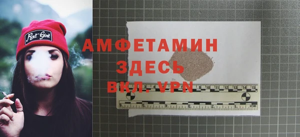 гидра Богданович