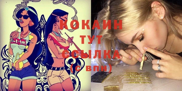 гидра Богданович