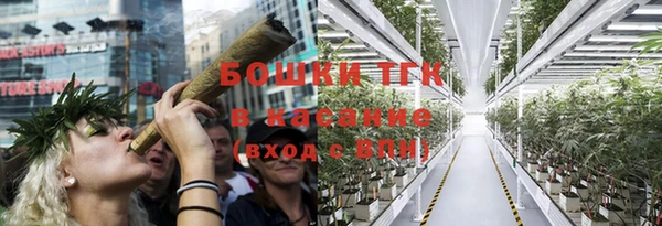 гидра Богданович