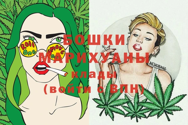гидра Богданович
