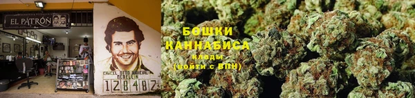 гидра Богданович