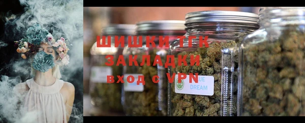 ПСИЛОЦИБИНОВЫЕ ГРИБЫ Богородицк