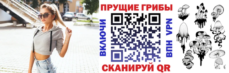 Галлюциногенные грибы Psilocybe  Купить  Мценск 